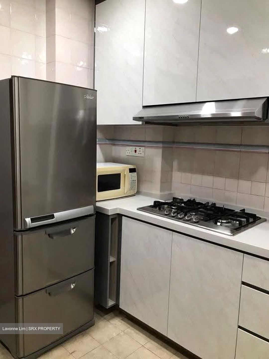 Dover Parkview (D5), Condominium #619307121